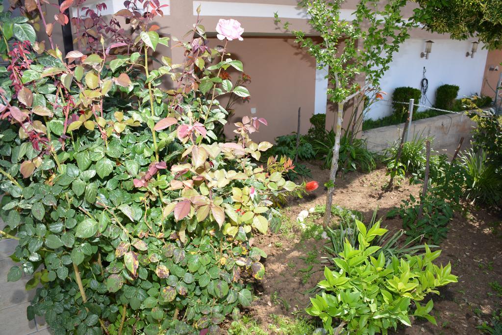 Guest House Evropa 2 อุลซิน ภายนอก รูปภาพ